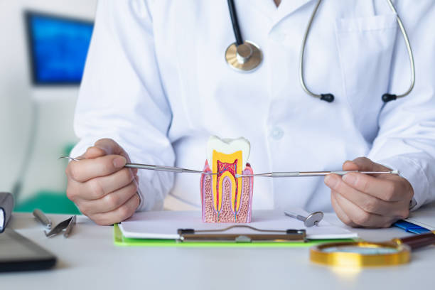 Best Emergency Tooth Extraction in Ocala Estates, FL